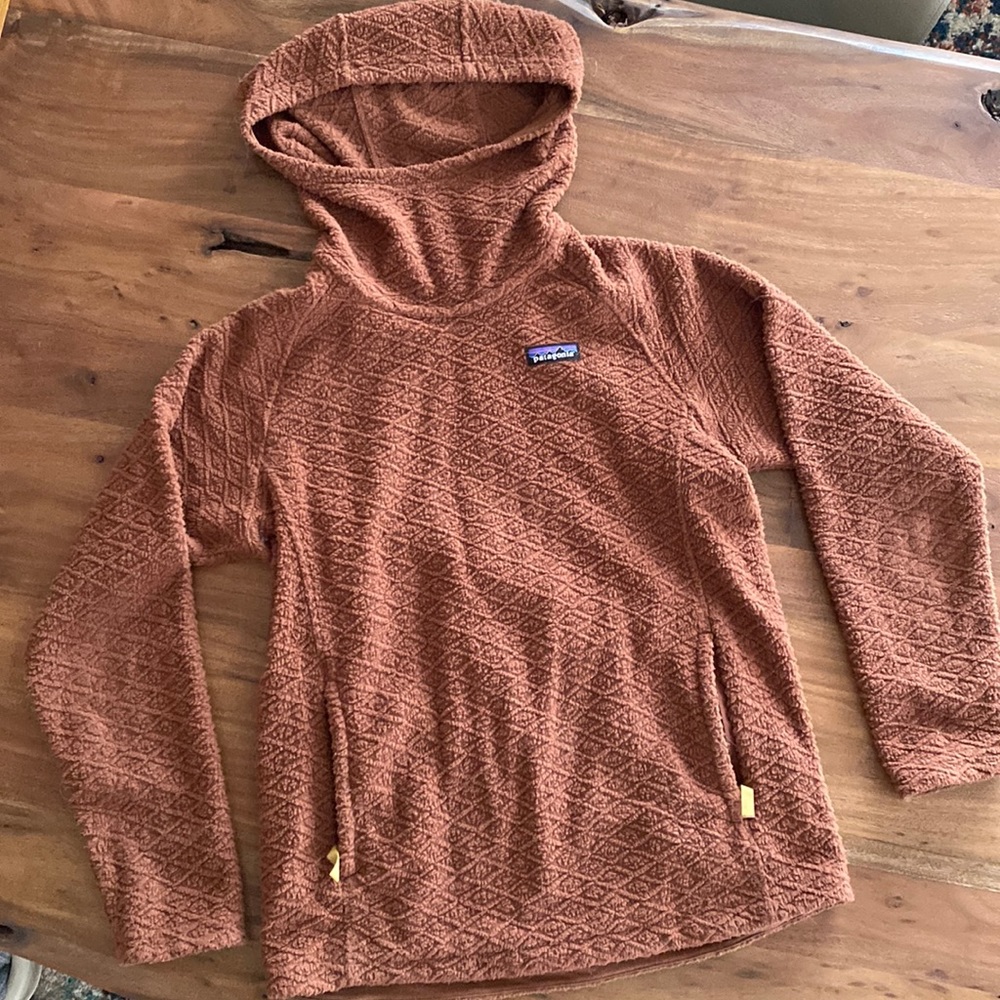 Patagonia hoodie